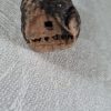 Liten apa Tilgman - Bild 3