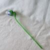 Glasblomma