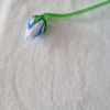 Glasblomma - Bild 2