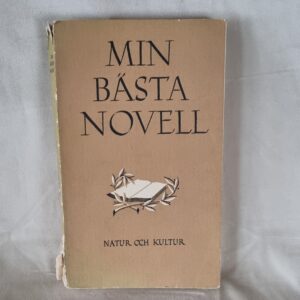 Min bästa novell