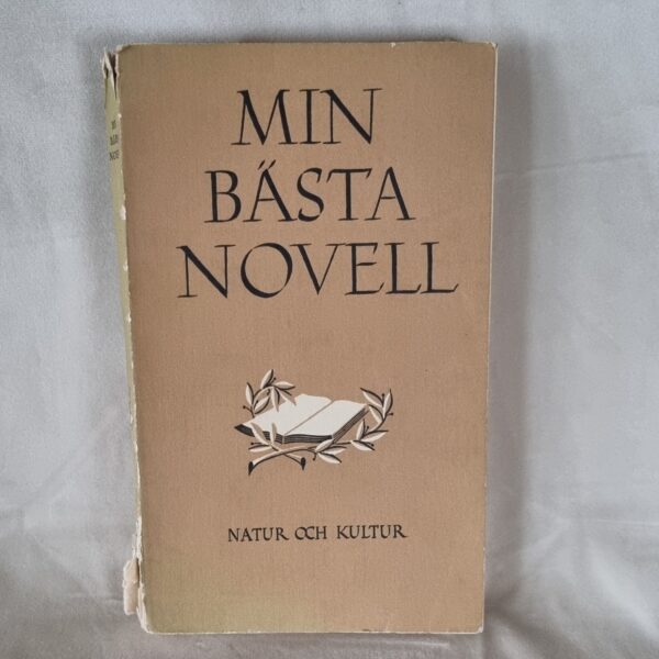 Min bästa novell